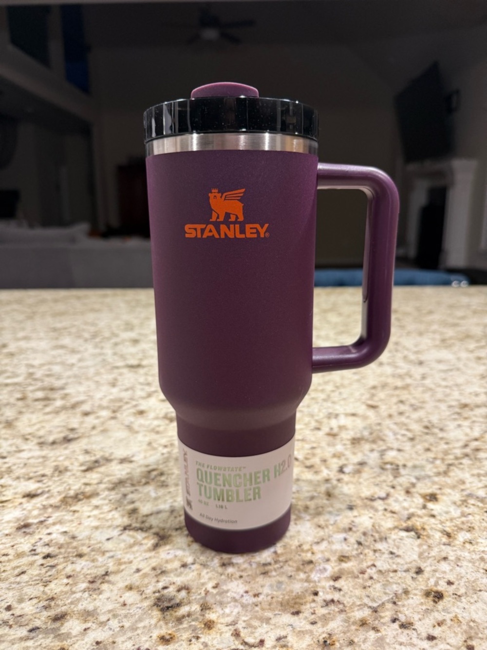 Stanley Tumbler Quencher H2.0 FlowState Purple With Handle Lid 40 Oz Insulated